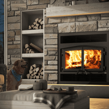Wood Burning Indoor Fireplace