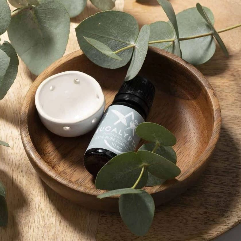 Saunum Aroma Oil Set Eucalyptus Aroma Oil with Reservoir, 10ml