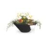 Cazo-Planter-Bowl-with-Water-black