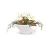 Cazo Planter Bowl with Water limestone