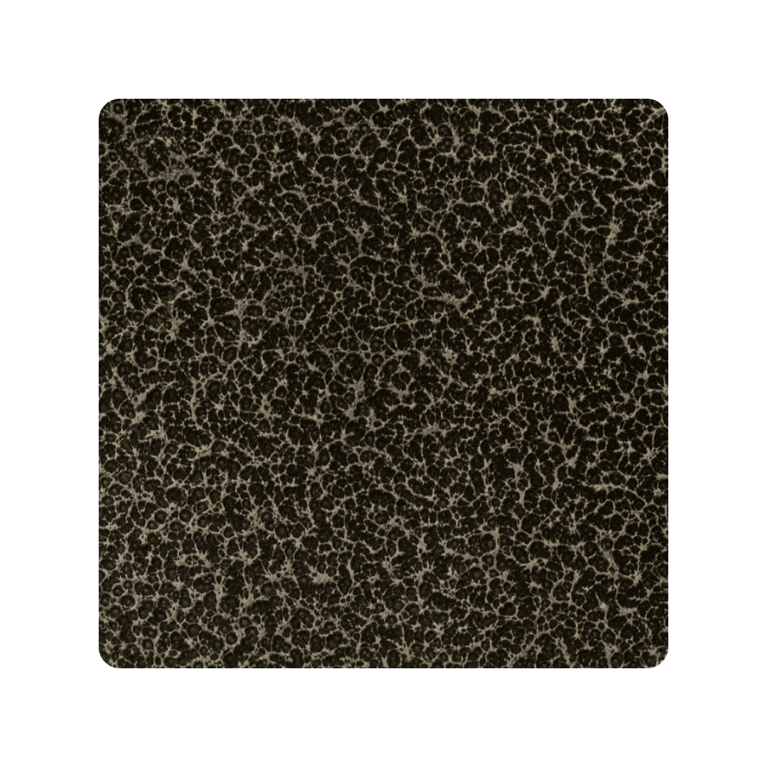 Gold Vein Powder Coat