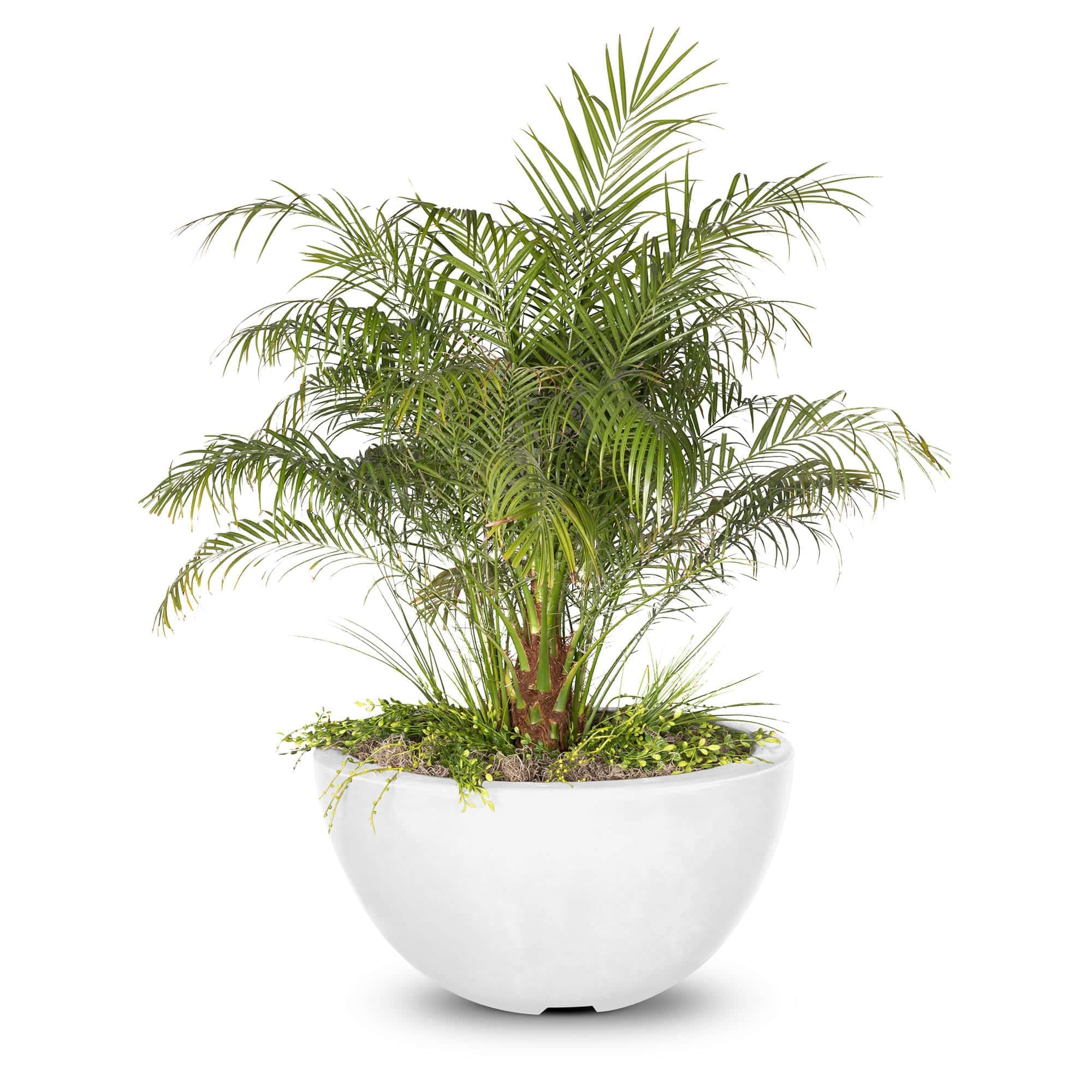 The Outdoor Plus Luna Planter Bowl - GFRC Concrete - Image 4