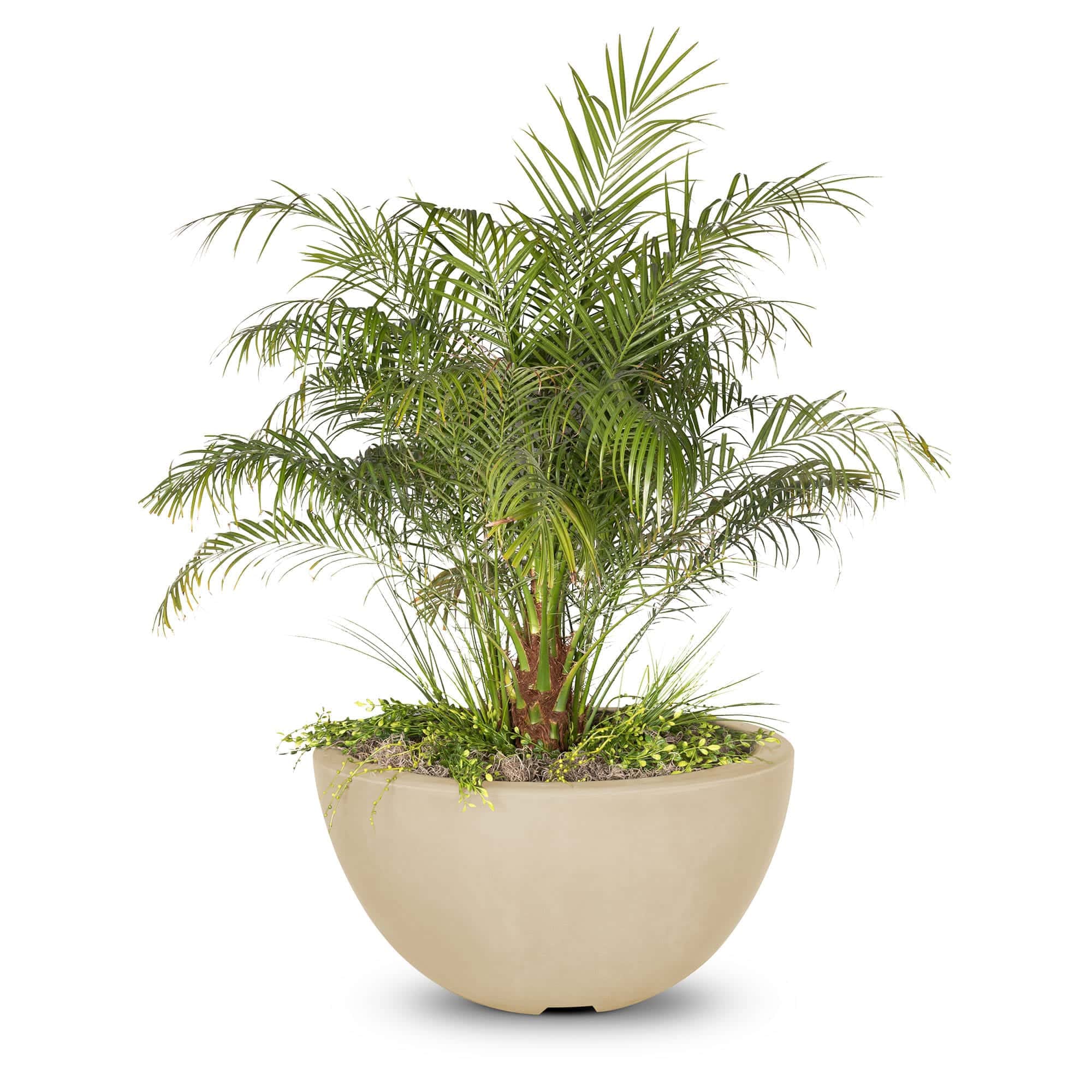 The Outdoor Plus Luna Planter Bowl - GFRC Concrete - Image 3