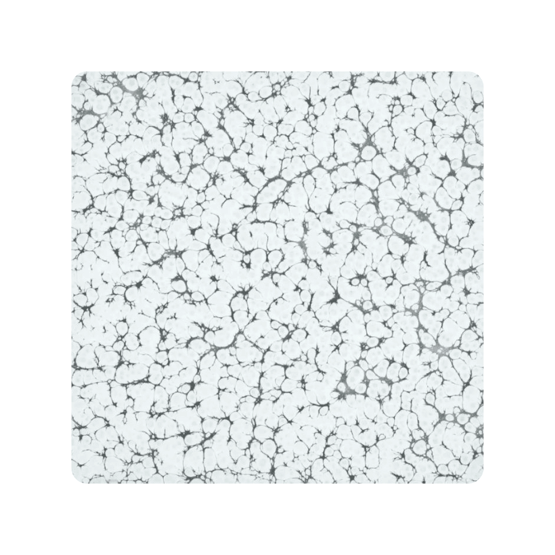 White Vein Powder Coat