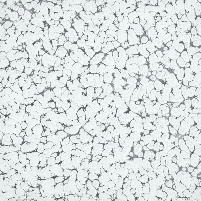 White Vein Powder Coated Steel