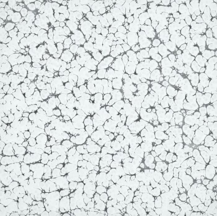 White Vein Powder Coated Steel