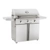 AOG 36PCT-00SP T Series Portable Grill