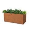 Moderna-Rectangular-Corten-Steel-Planter-With-Plant