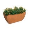 Rectangular-Tuscon-Corten-Steel-Planter-with-Plants
