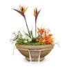 The Outdoor Plus Roma Concrete Planter & Water Bowl
