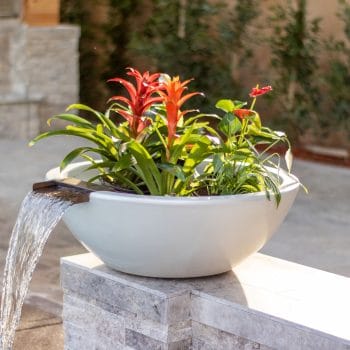 The Outdoor Plus Planter and Water Bowls