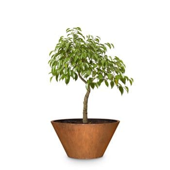 Sierra-Corten-Steel-Planter-With-Plant.