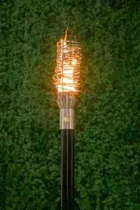 TOP-SS-Torch-Cyclone