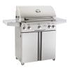 American Outdoor Grills ”T” Series Portable Grill 30PCT