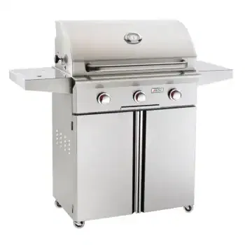 American Outdoor Grills ”T” Series Portable Grill 30PCT 00SP